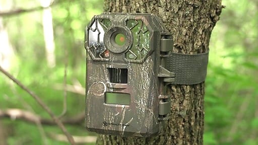 Best-Trail-Camera-Reviews2.jpg