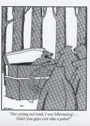 FarSide15.jpg