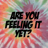 drugs are you feeling it yet GIF