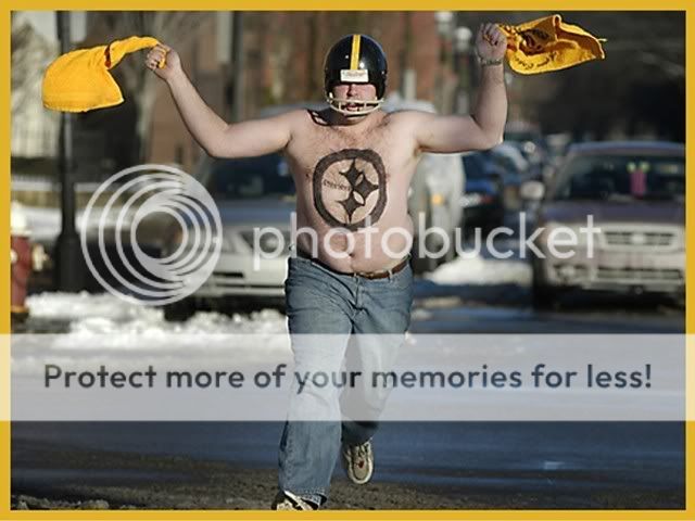 steeler-fan_zps95ad9b47.jpg