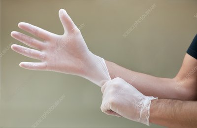 F0040659-Man_putting_on_latex_gloves-SPL.jpg