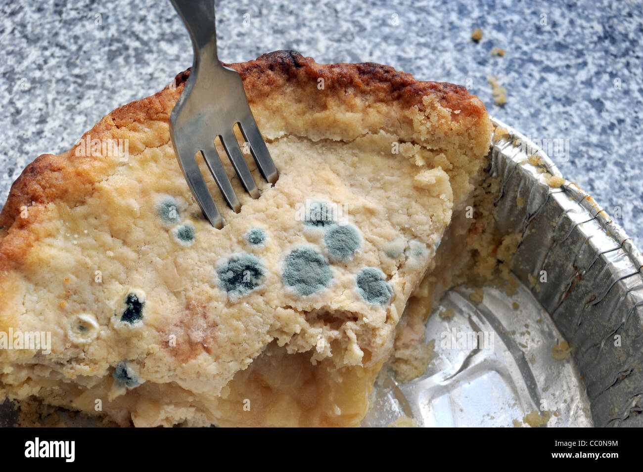 apple-pie-with-areas-of-mould-bacteria-growing-on-its-crust-re-baking-CC0N9M.jpg