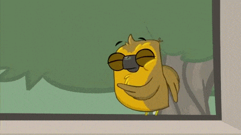giphy.gif