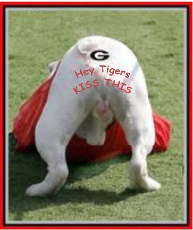 GeorgiaBullDogTigers.jpg