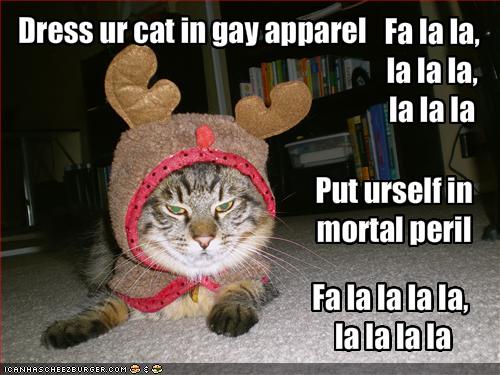 christmas_lolcat.jpg