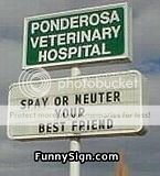 th_Spayorneuter.jpg