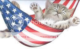 patriotic_cat.jpg