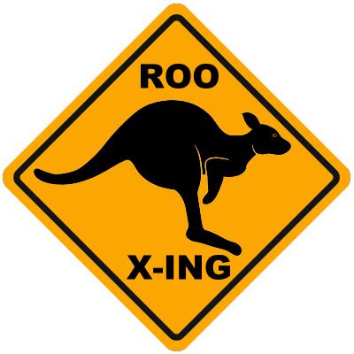 roo-xing-b.jpg