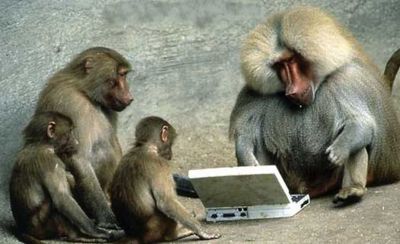 400px-Monkeys_on_computers.jpg