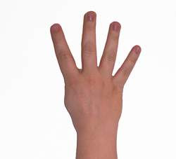 4fingers1.jpg