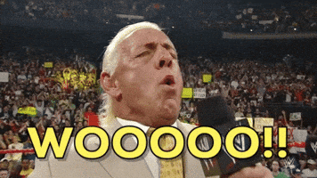 ric flair GIF by WWE