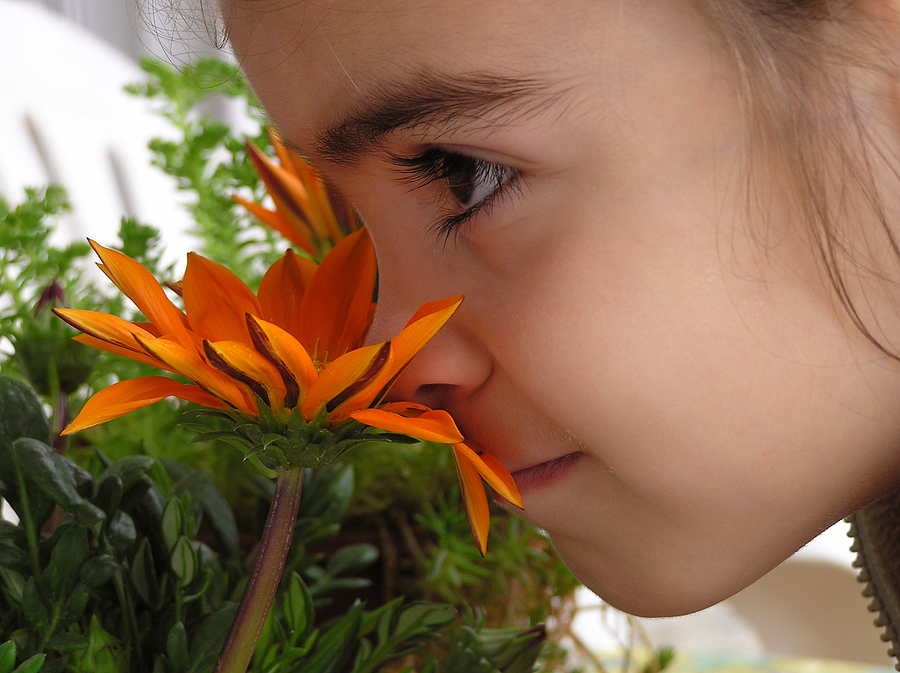 bigstock-Girl-Smelling-Flower-513038.jpg