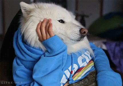 wKN7qV2.gif