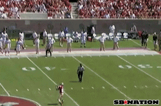 nolespr.gif