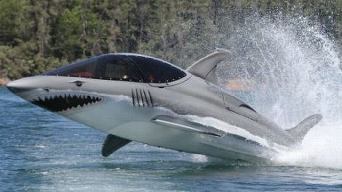 Shark_Boat_9.jpg