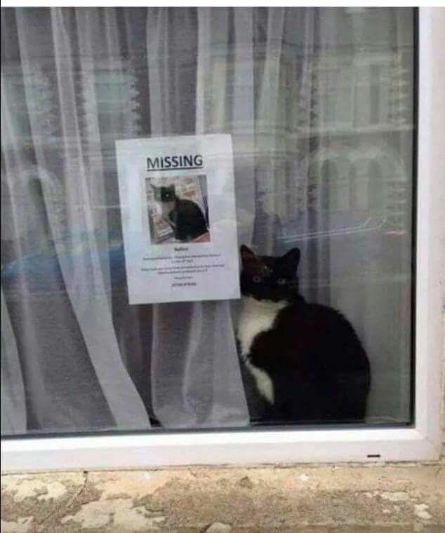 ufqgnvqmz3b11.jpg