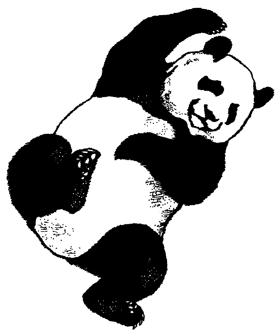 panda.gif