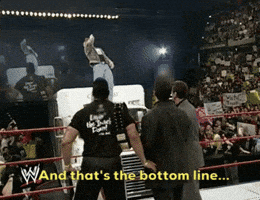 steve austin stone cold said so GIF by WWE