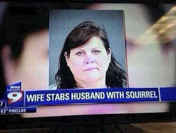 Squirrels-Used-As-Weapons.jpg