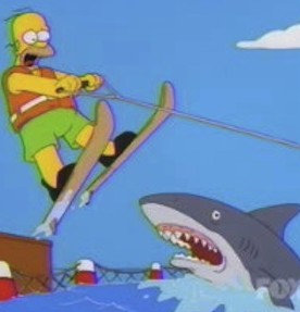 homer-jump-shark.jpg