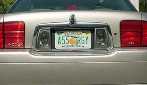 assorgy.jpg