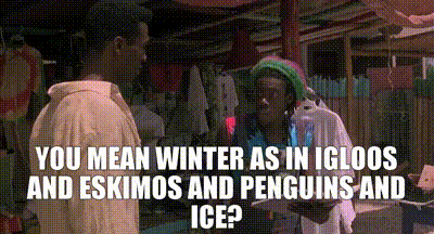39809fa5-de3d-4528-8f8e-505d61a30c9c_text.gif