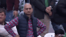 cricket-cwc19.gif