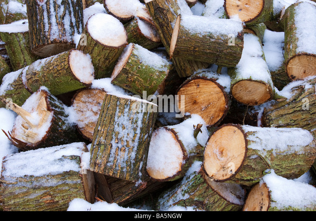 logs-firewood-covered-in-snow-ba5ngw.jpg