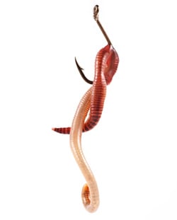 worm-on-hook.jpg