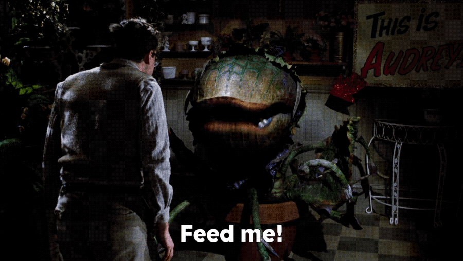 source.gif