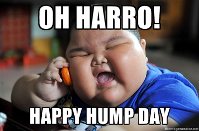 happy-hump-day-harro.jpeg