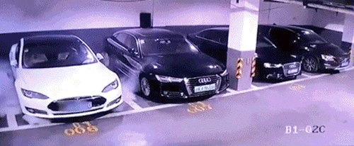 441.gif