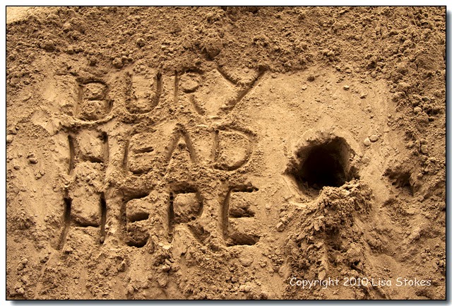 sand-bury-head-here.jpg
