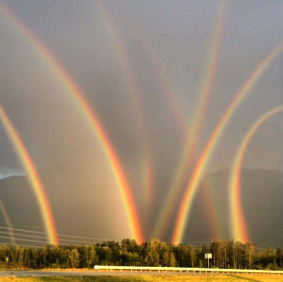 8-rainbows.jpg