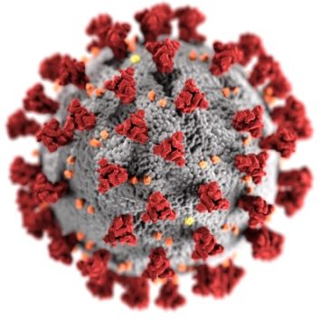 NovelCoronavirus-355x355.jpg