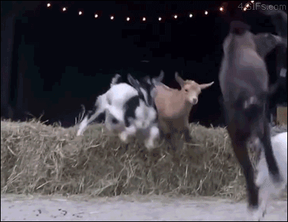 mUihnjP.gif