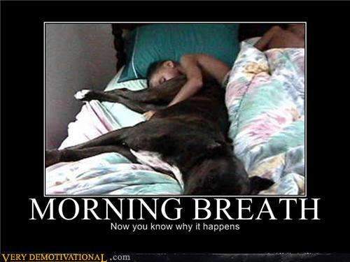 Funny%2B%2526%2BSexy%2BDemotivational%2BPosters%2B%25289%2529.jpg