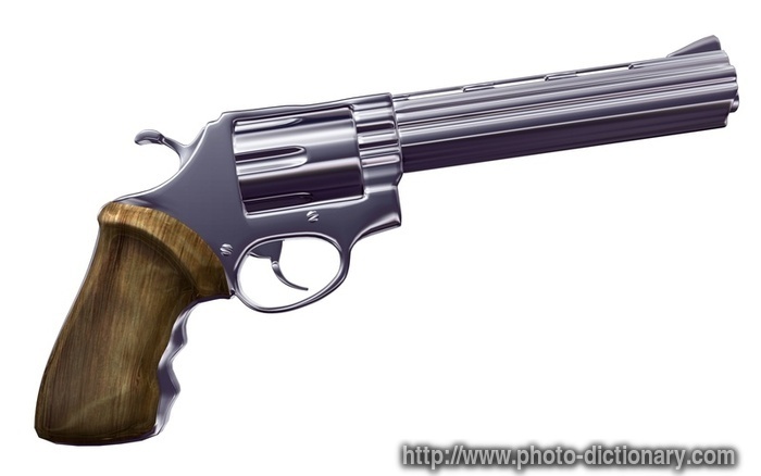 8501magnum_revolver.jpg