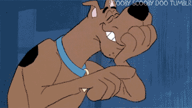 tumblr_lkc3haxllf1qitfwho1_400.gif
