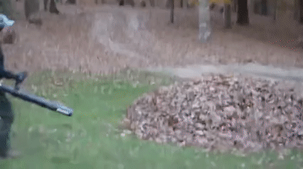 IatQs2h.gif