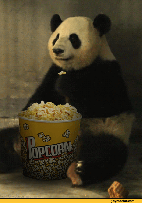 panda-popcorn-food-gif-950217.gif