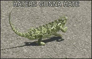 Chameleon_hatersgonnahate.gif