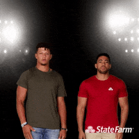 Best Friends Reaction GIF by State Farm
