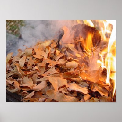 leaves_on_fire_poster-p228451607909255586t5wm_400.jpg