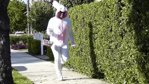 giphy.gif