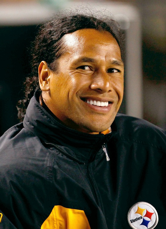 Troy-Polamalu1.jpg