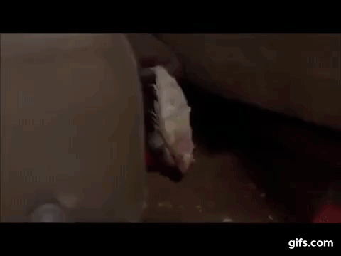 32p4BM.gif