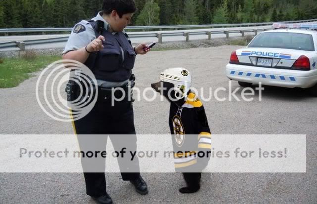 BearCop.jpg