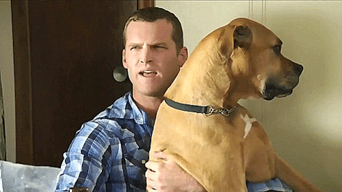tumblr_p2wmeeDNHr1w6oc4so4_r1_500.gif