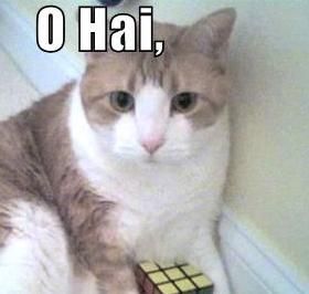 rubiklolcat.jpg